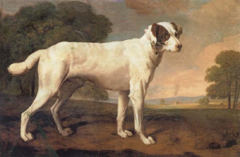 George Stubbs Dog china oil painting image